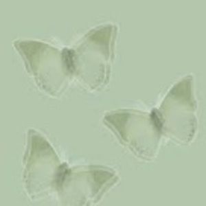 Meet your Posher, Neriah